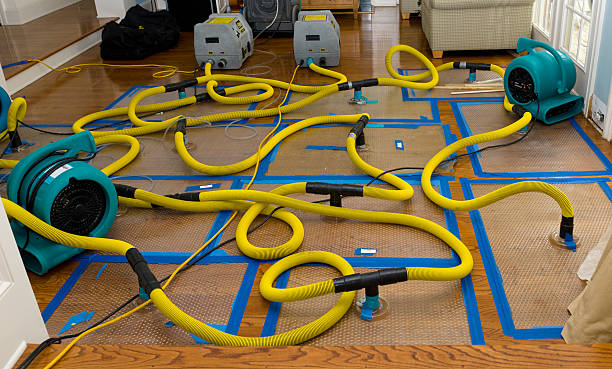 Professional Emergency Water Removal technician working in Middle Bass, OH